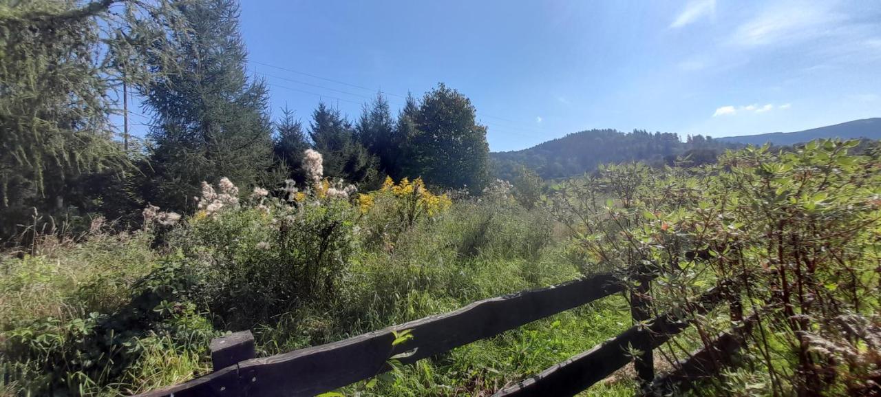 Wysokie Laki Domki W Gorach Kowary Εξωτερικό φωτογραφία